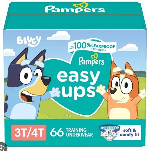 Easy up bluey 3t-4t (66)